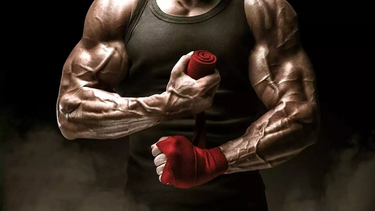 buy steroids online usa