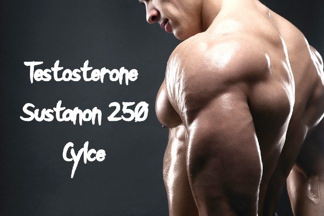Testosterone Sustanon 250: Cycle, Dosage And Side Effects